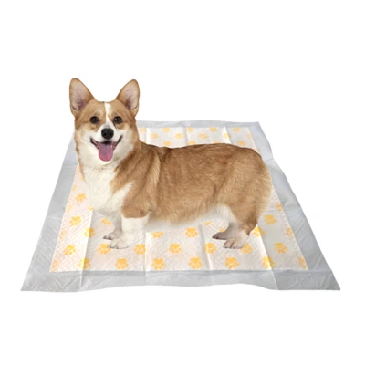 Podloge za treniranje hišnih ljubljenčkov za enkratno uporabo